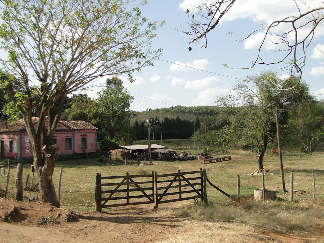 DSC02584