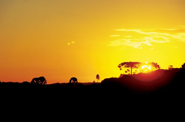 phoca_thumb_l_amanhecer - plnio bordin fonte letras brasileiras