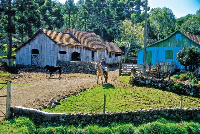 phoca_thumb_l_painel  um municpio voltado  atividade agrcola - plnio bordin fonte letras brasileiras