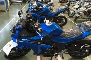 suzuki 300